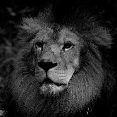 compgraph's profile picture. Complex Graphica Inc.代表、 Art Director/Graphic Designer/VJ/Videographer/写真部主催/被写体募集中/モデル募集中/ https://t.co/OI4xjpJ9He #ComplexPhotonica