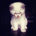 ๐๐ฒ๐ท๐๐ฒ๐ช ๐ฅ.๐ค๐ฎ๐น๐๐โ๏ธ๐งฑ๐ (@cinziafufy74) Twitter profile photo ๐๐ฒ๐ท๐๐ฒ๐ช ๐ฅ.๐ค๐ฎ๐น๐๐โ๏ธ๐งฑ๐ (@cinziafufy74) Twitter profile photo