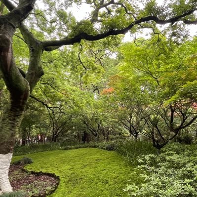 leolinhero01's profile picture. ꧁IP꧂