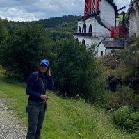 Carol Lowe (@carollowe98) 's Twitter Profile
