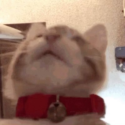 jamjumpr's profile picture. 
