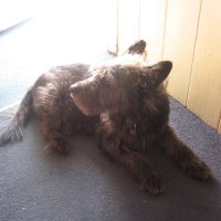 Eeyore'smum🇵🇸 (@eeyoresmother) 's Twitter Profile Photo