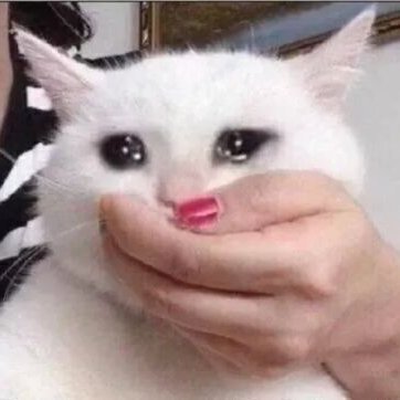 vadapavjunkie's profile picture. 