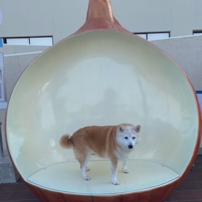 cVaOcDXLLVSMqEp's profile picture. お手柔らかに 日常の日記です。