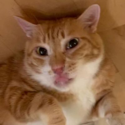 felixさんのプロフィール画像