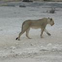 Anne Knowles - @Jamiebenji - Twitter