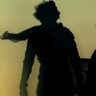 meshovidd's profile picture. .