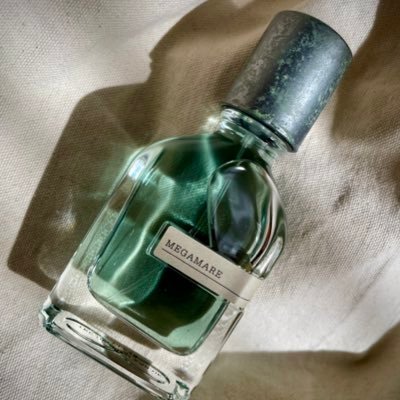 香りのストライクゾーンが激狭。◯好き→レザー、煙、インセンス、樹脂、スパイス、シトラス、グリーン。砂漠とかスパイス市場とかそういうワードに弱い。×苦手→石けん、フルーティー、フローラル、甘い香り、食べ物や飲み物の香りは刺さらないことが多い。バニラも主張しすぎると苦手。夜にポストが増えるのは酔っ払っているから。