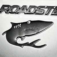 WhiteShark🦈 (@gbmtx97grdh2jwe) Twitter profile photo