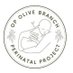 Operation Olive Branch (@OliveOperation) Twitter profile photo