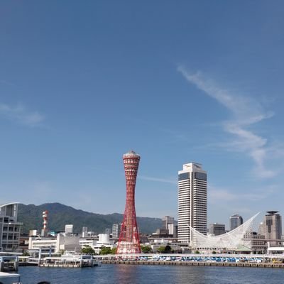 biancaMETAL1's profile picture. 猫(昨年没)と株を少々。晴れた日のお洗濯、ミステリ作品。ウェザーニュースはみーちゃん🐰推し。
