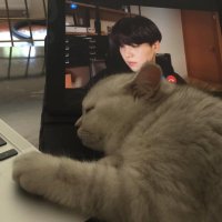 𝙖𝙧𝙖 (@mygxxara) 's Twitter Profile