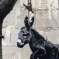 fanksy (@fanksynft) Twitter profile photo