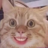 KeTuong9x's profile picture. 