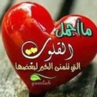 قُلَبً المملكة ❤ (@qulabaya295738) 's Twitter Profile