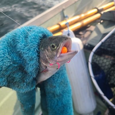 living 20s but crashing into 30s will break my back 😶 gamer on ps5🎮 fishing in the PNW is a bliss🎣