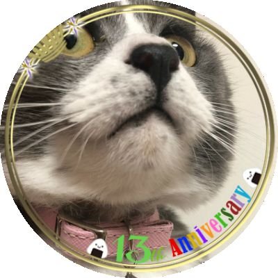 ゆぬの【スーパー雑多垢】さんのプロフィール画像