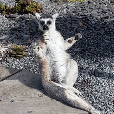 BakkDaddy's profile picture. 