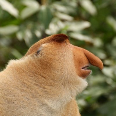 Damian96265828's profile picture. 