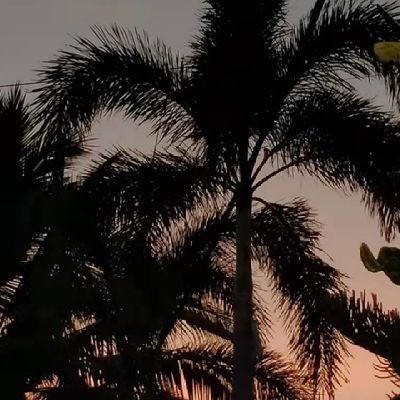 yc_0606's profile picture. 