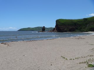 lilinettenc's profile picture. 