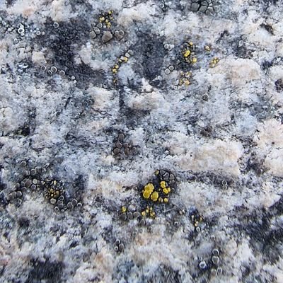 Son_of_Old's profile picture. Hi guys, I am a Data Enthusiast| Connecting with Analysts to turn insights into impact| Open to collaborations, projects, & learning opportunities|