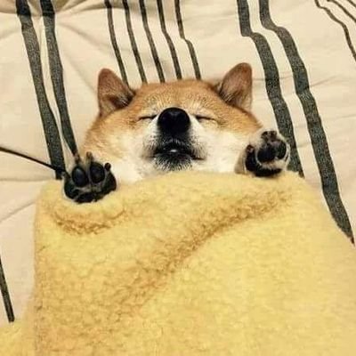 Sam0648's profile picture. ª