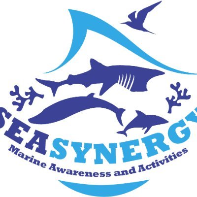 @sea_synergy
