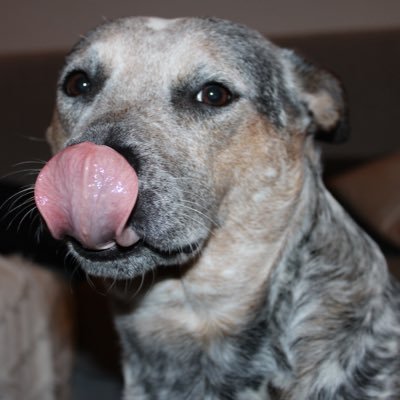 dylanva62918257's profile picture. 