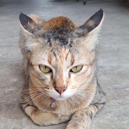 jkungging's profile picture. In the middle of nowhere