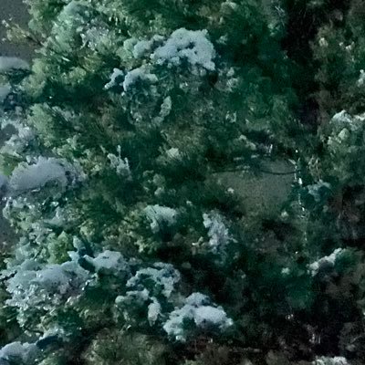 ohhey132's profile picture. 