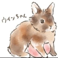 蓮見ちゃむ🐰🐴🦄✨(@reitontonmaru) 's Twitter Profile Photo