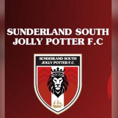 The official Twitter account of Sunderland South Football Club SSL Div 2