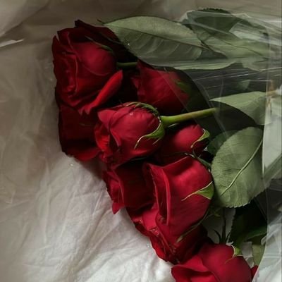 hananalkharaz's profile picture. 