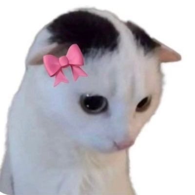 NZeona7O42's profile picture. 