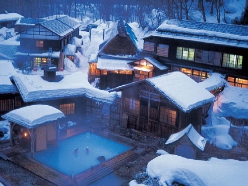 asktour's profile picture. 일본여행정보공유커뮤니티,후쿠오카,오사카,스시,초밥,도스,온천,하우스텐보스,대마도,카멜리아,코비,크루즈,라멘,우동,돈부리,규동,토쿄,