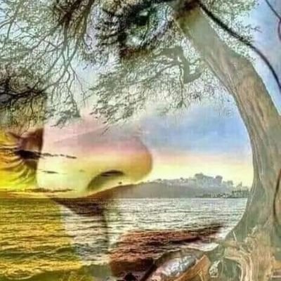 چکور 🪶 Profile