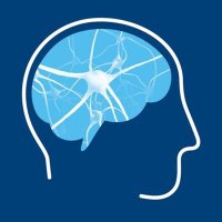 Leuven Brain Institute(@leuvenbrainins1) 's Twitter Profile Photo