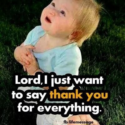 DanielN14154772's profile picture. 