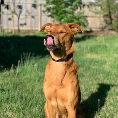 Nicknovs222's profile picture. 