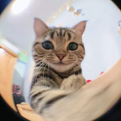 Janaejann's profile picture. INFJ-T🫣☺️🦾