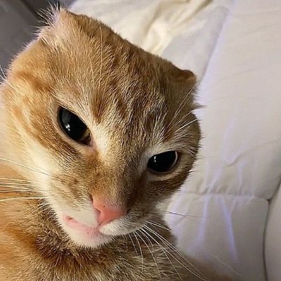 ArtGuii's profile picture. Animator