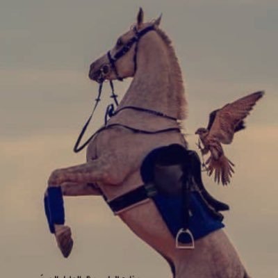 allhyanys326's profile picture. اللهم إنا نسألُك دعوة لا تُرد، ورزقاً لا يُعد، وباباً إلى الجنة لا يُسد ♡.💯💚🤍
رابط القرآن الكريم 
https://t.co/sUf2kWfwkW