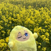 めい (@kiramelody5) 's Twitter Profile
