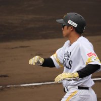 ぎいた (@tomn_1009) 's Twitter Profile