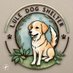 Lule_dog_shelter (@DogLule58058) Twitter profile photo
