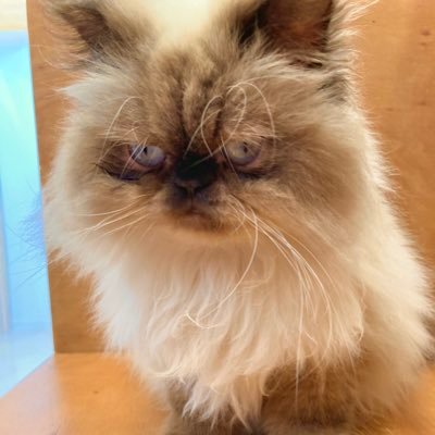 HigakiA42911's profile picture. 元介護士　医療・介護系の組み込みエンジニアになるために学習中
