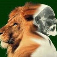Hanan Hamida (@5vdignwxrkmpbwm) 's Twitter Profile