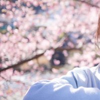 すなお (@soredake____) 's Twitter Profile