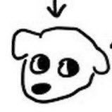 dkfsjldkeis's profile picture. 20+/구독계입니당당당,,,👉👈